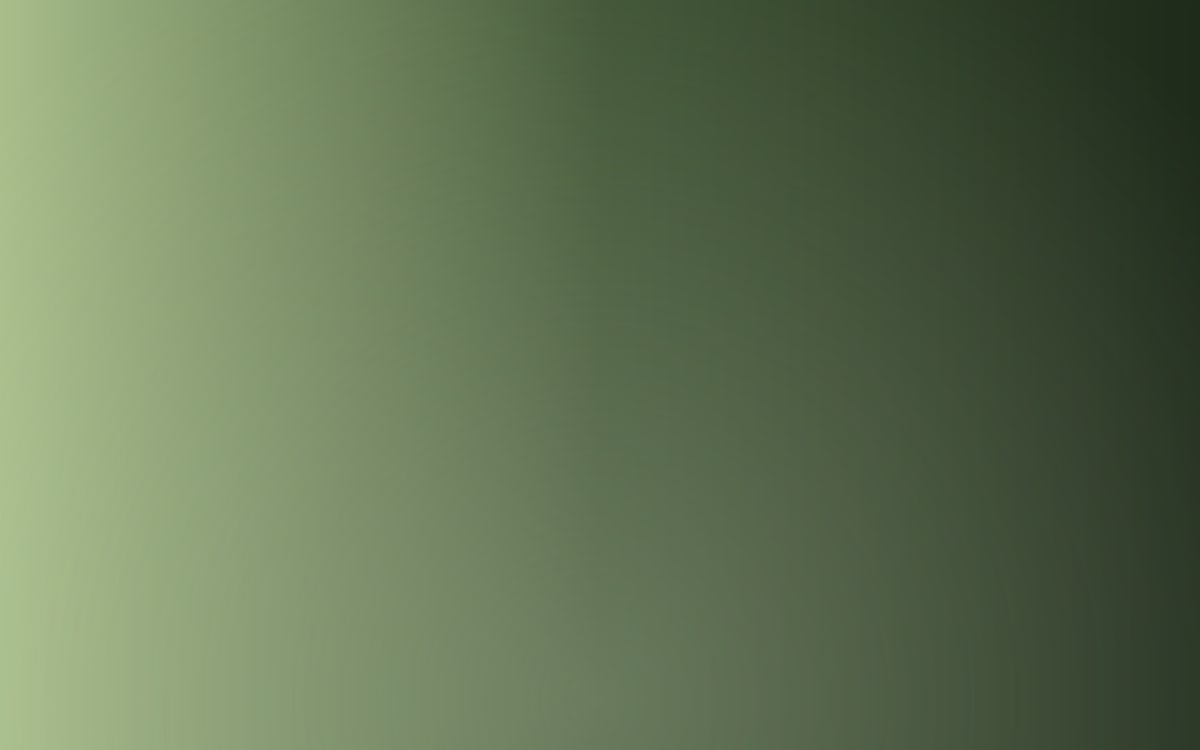 Sage Aurora Wallpaper